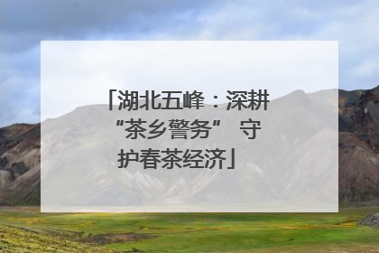 湖北五峰：深耕“茶乡警务” 守护春茶经济